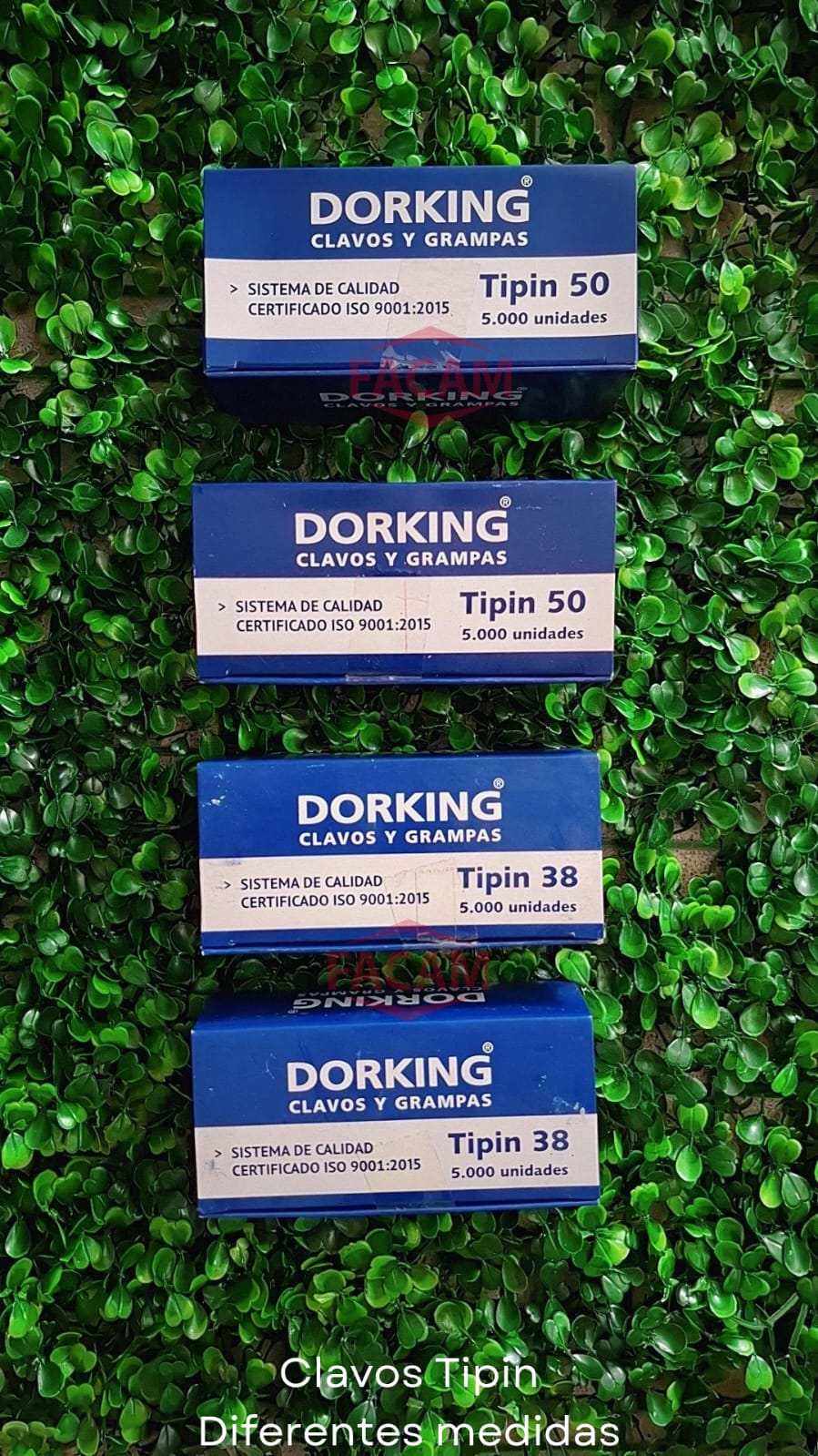 Clavos-Tipin